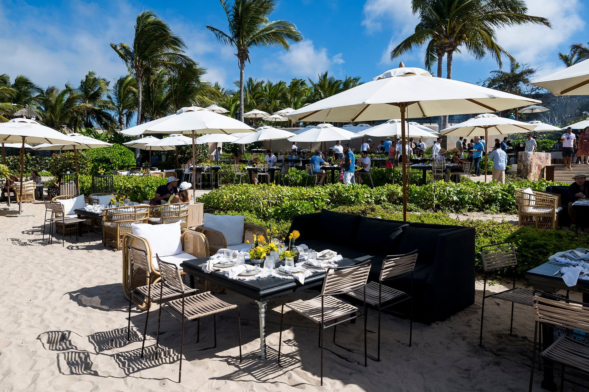 Beach venue with dining tables, white umbrellas, palm trees, and guests at an outdoor daytime event