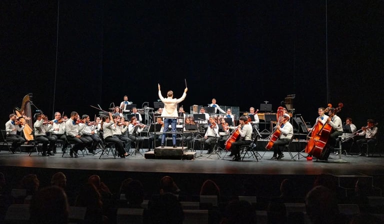 Orchestra conductor leading a full symphony orchestra on stage with audience silhouettes in foreground