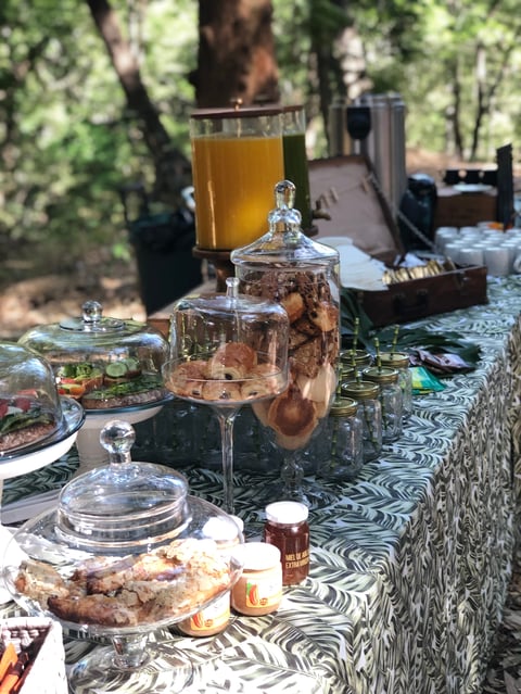 Outdoor table set with glass cake domes, pastries, and beverages under shade trees at an outdoor gathering